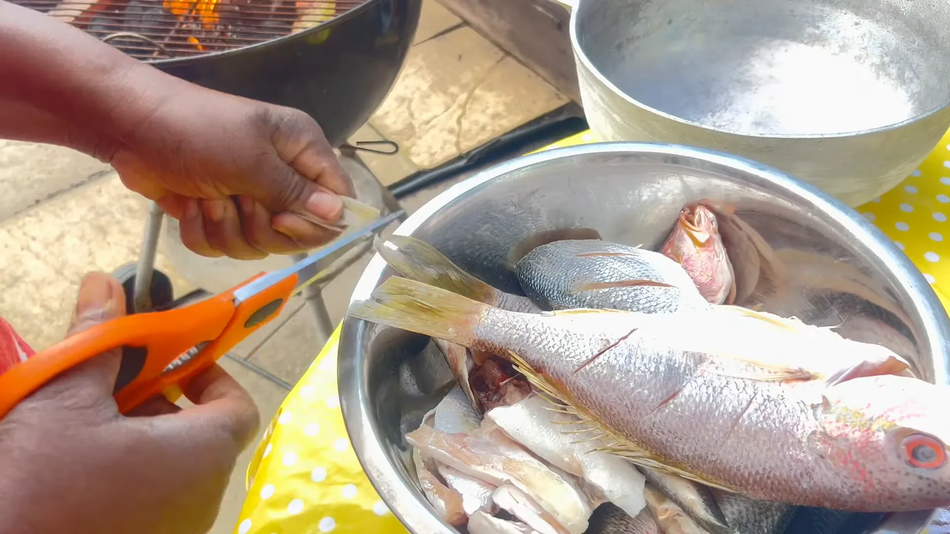 Cutting the fish tails for frying