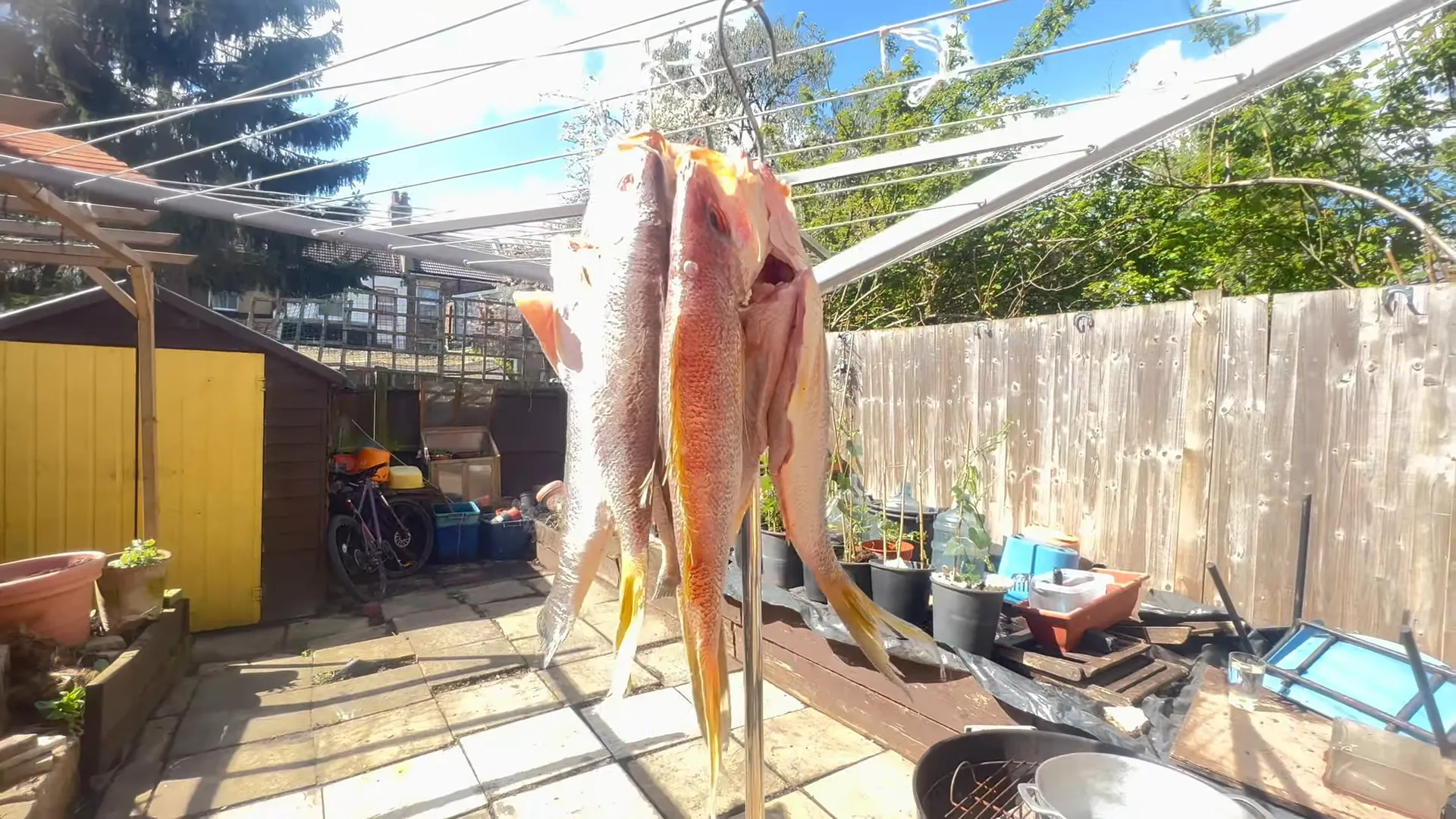 Donna in her garden preparing to fry fish