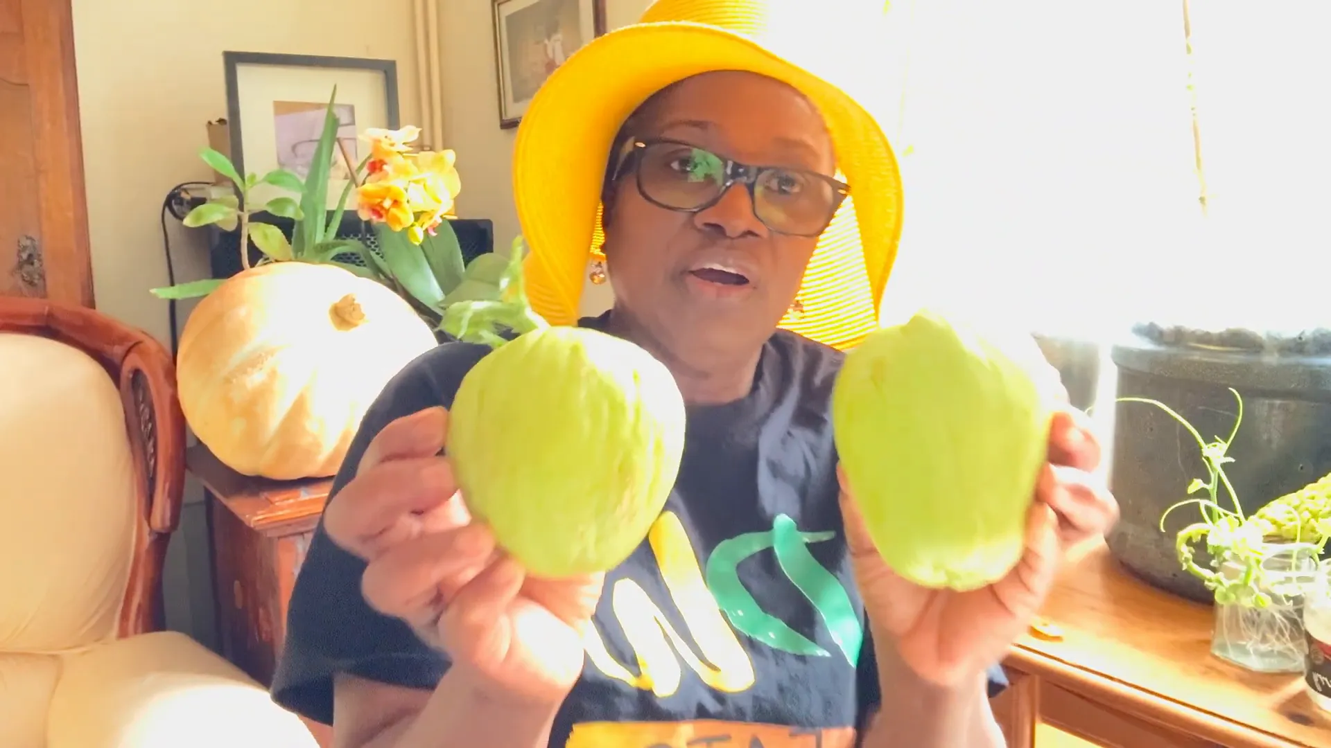 Planting chayote in a container