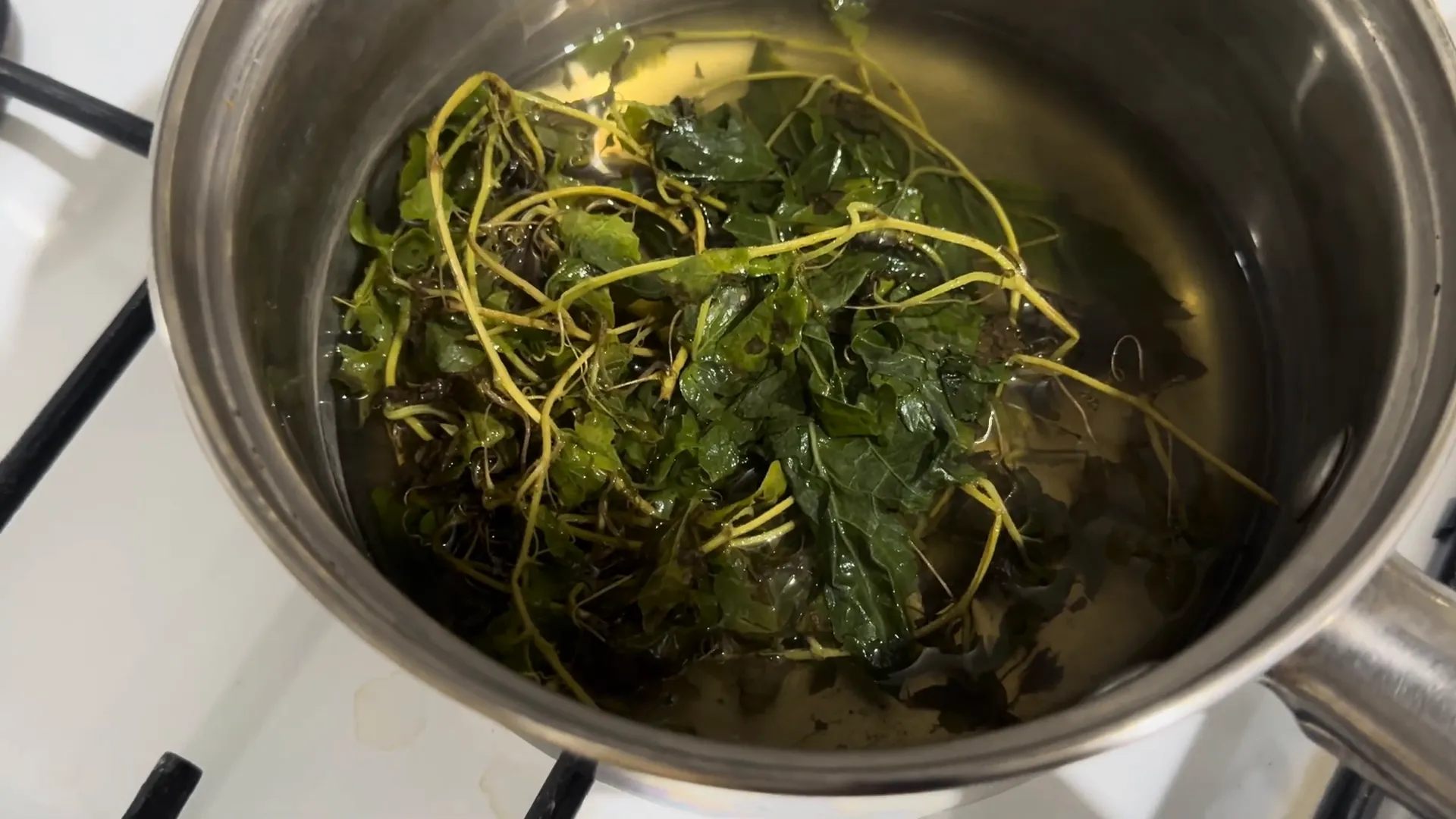 Reusing Cerasee leaves for a second brew
