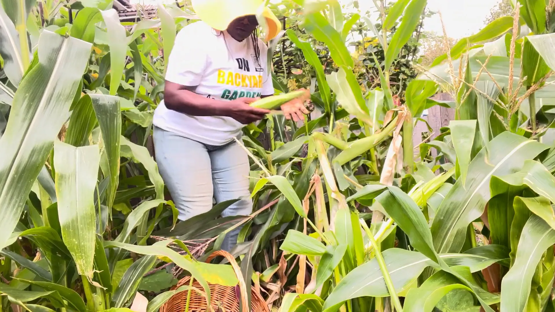 Storing corn in the refrigerator