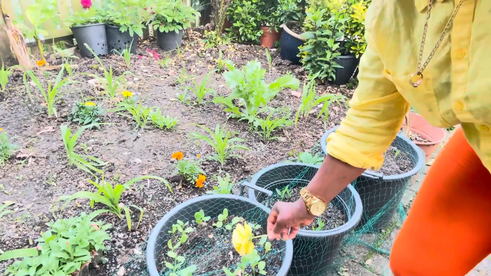Integrating vegetables and flowers in the garden