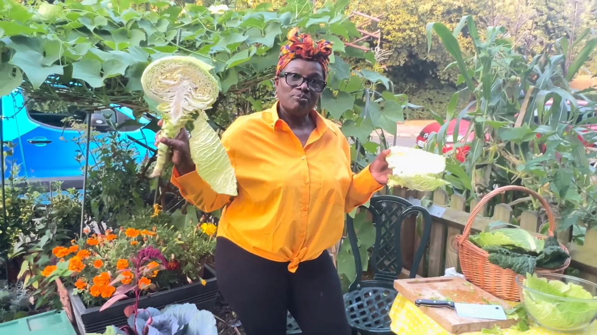 Different varieties of cabbage displayed in Donna's garden