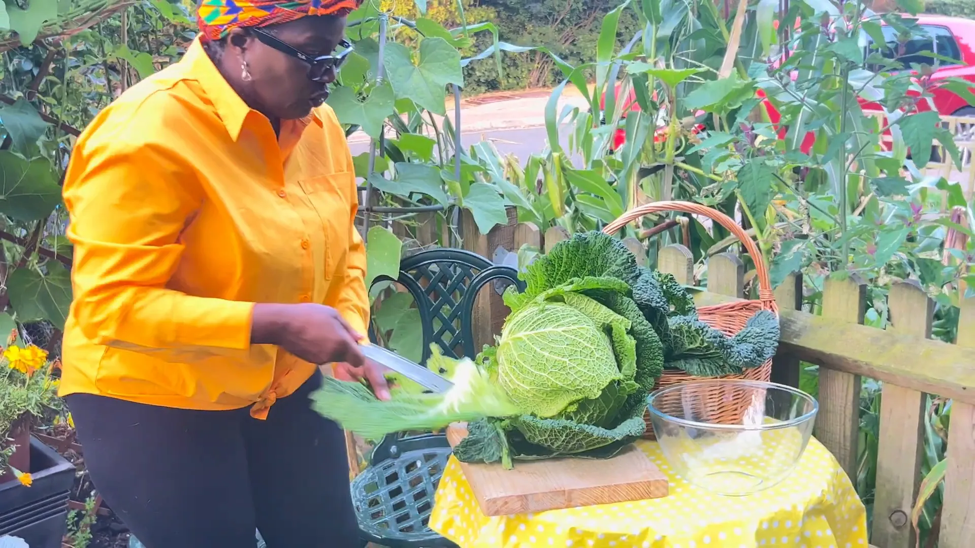 Donna demonstrating proper watering techniques for cabbages