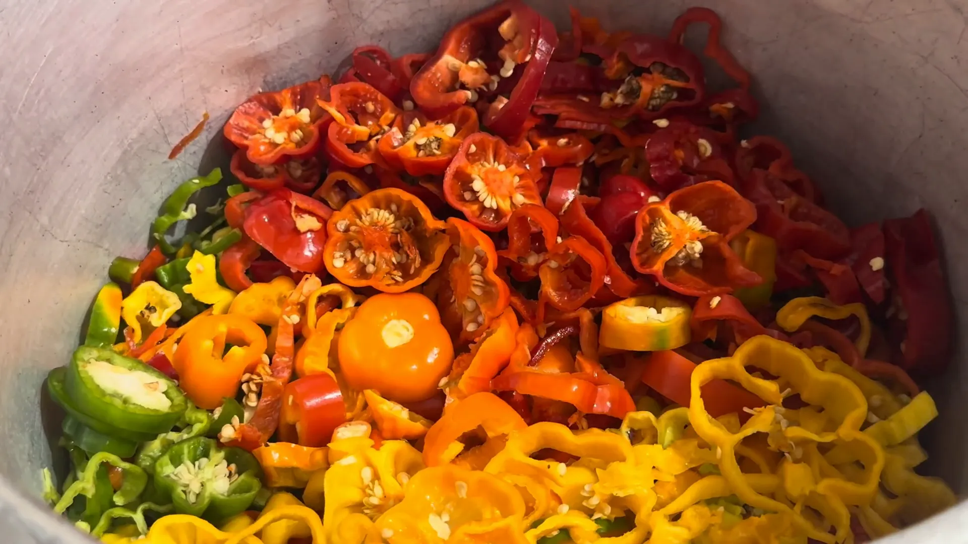 Selection of different peppers