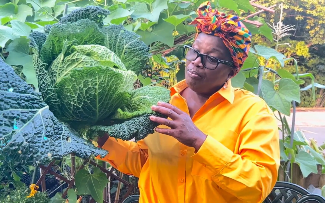 The Joy of Growing Cabbage: My Savoy Cabbage Journey