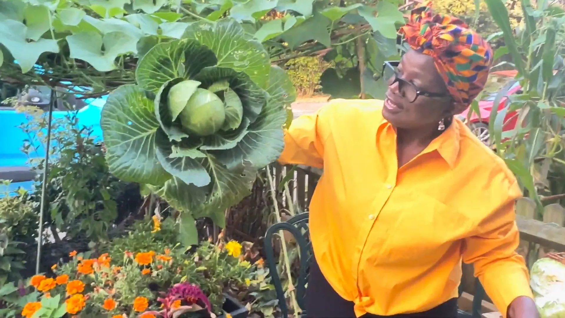 Close-up of green and red cabbages side by side