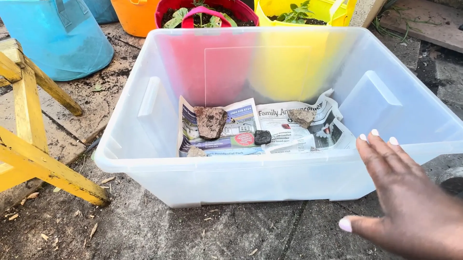 Container filled with stones and newspaper for planting coloured greens
