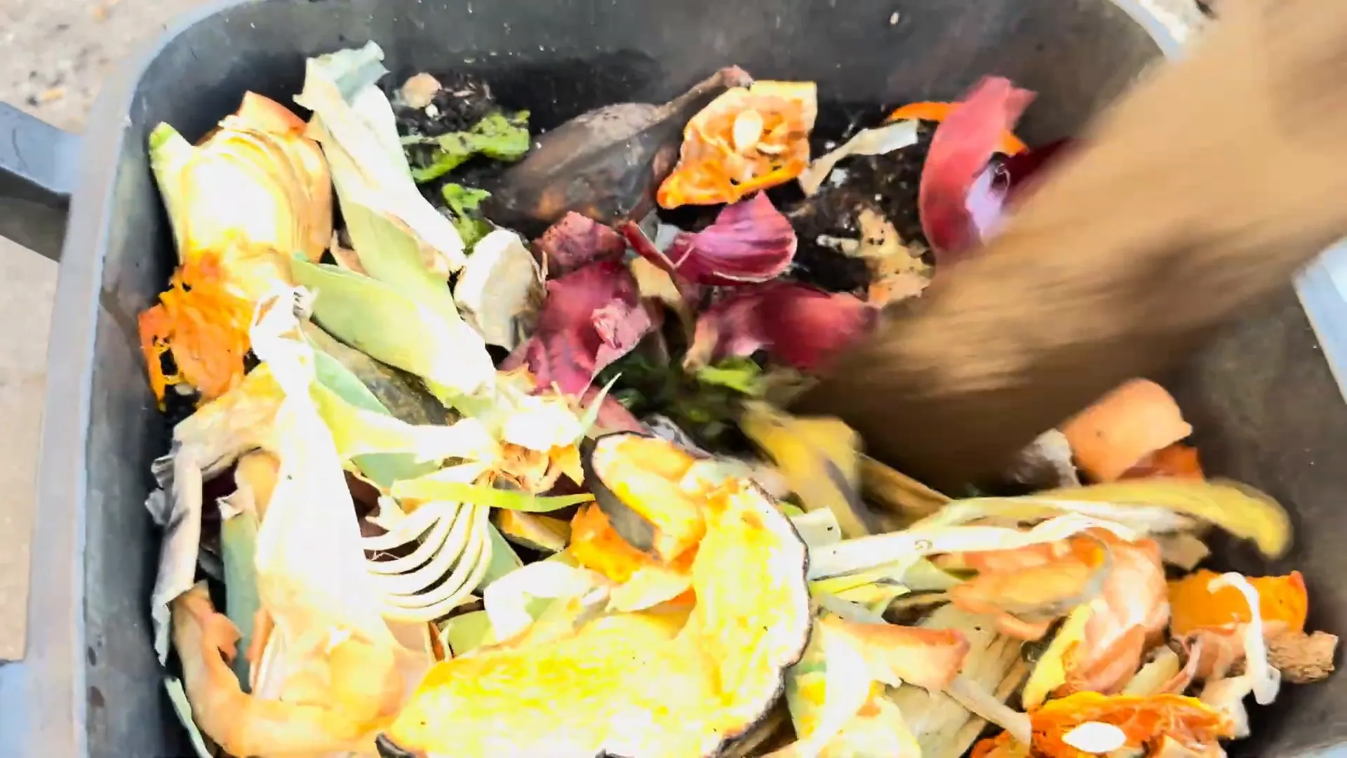 Chopped kitchen scraps added to container for composting