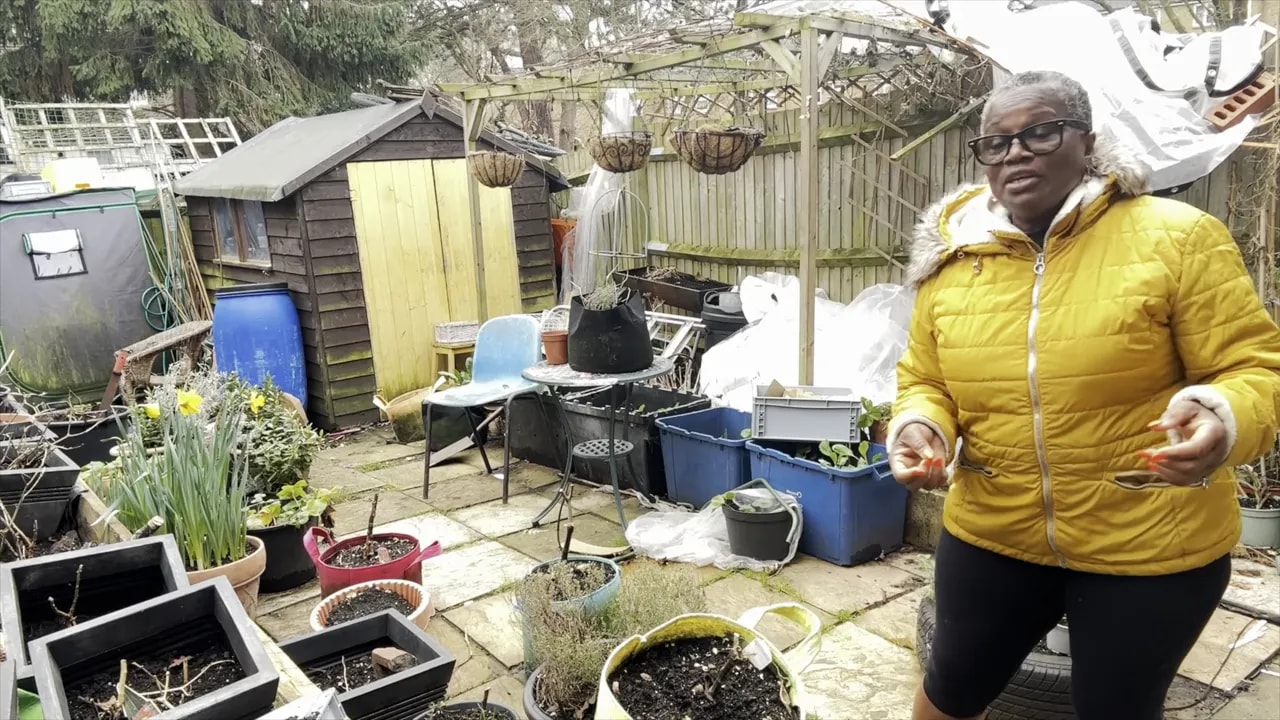 Donna standing in the garden with prepared containers and soil trays for pepper season