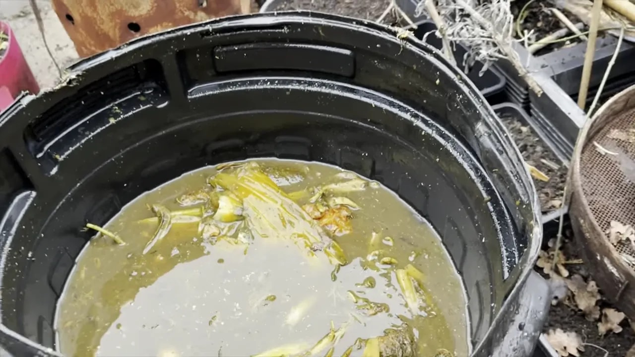 Homemade fertiliser soup in a bucket with compost and vegetable scraps