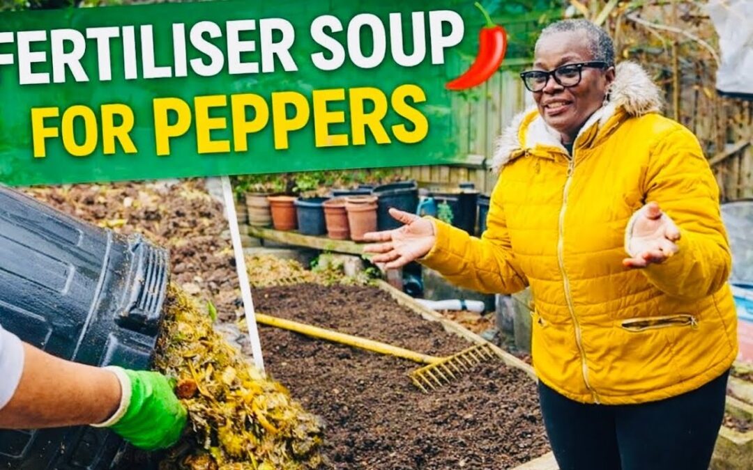 Fertiliser Soup for Peppers 🌶️ How I Prep My Garden, Reuse Old Soil, and Get a Proper Garden Reset