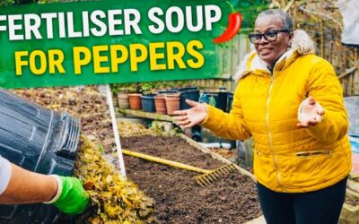 Fertiliser Soup for Peppers 🌶️ How I Prep My Garden, Reuse Old Soil, and Get a Proper Garden Reset