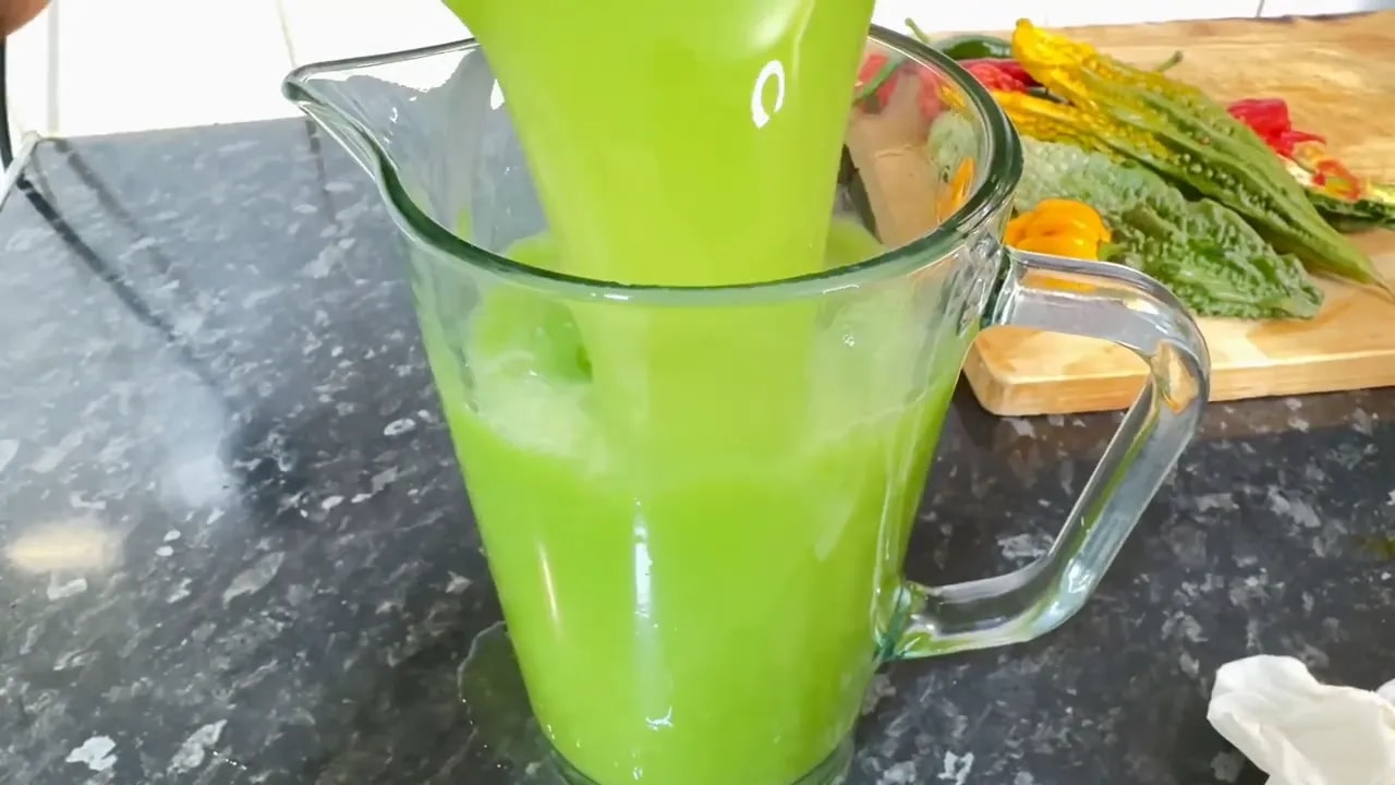 Fresh bitter melon and chili juice in a blender pitcher