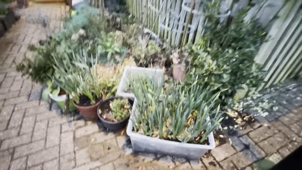 Front garden planting areas with pots and young spring growth beside a fence